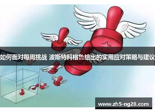 如何面对每周挑战 波斯特科格鲁给出的实用应对策略与建议