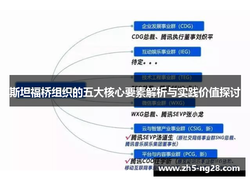 斯坦福桥组织的五大核心要素解析与实践价值探讨