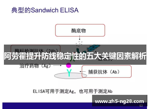 阿劳霍提升防线稳定性的五大关键因素解析