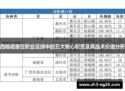 西格诺里在职业足球中的五大核心职责及其战术价值分析
