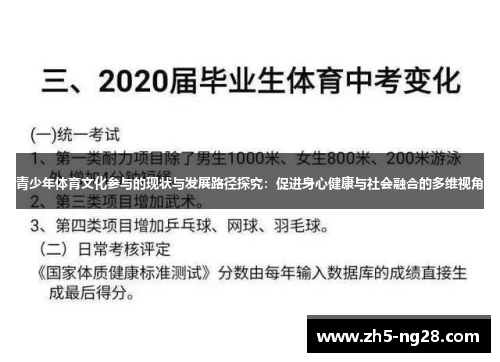 青少年体育文化参与的现状与发展路径探究：促进身心健康与社会融合的多维视角