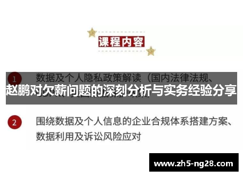 赵鹏对欠薪问题的深刻分析与实务经验分享