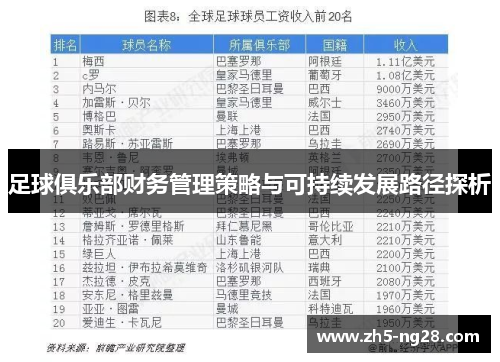 足球俱乐部财务管理策略与可持续发展路径探析