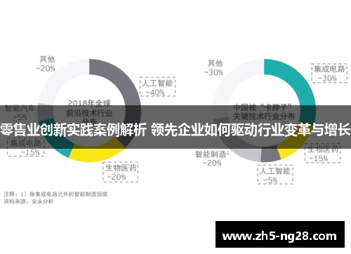 零售业创新实践案例解析 领先企业如何驱动行业变革与增长