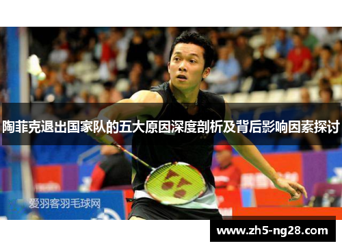 陶菲克退出国家队的五大原因深度剖析及背后影响因素探讨