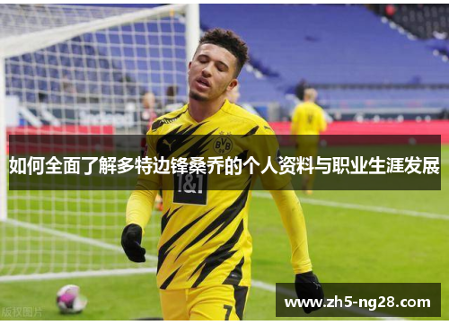 如何全面了解多特边锋桑乔的个人资料与职业生涯发展